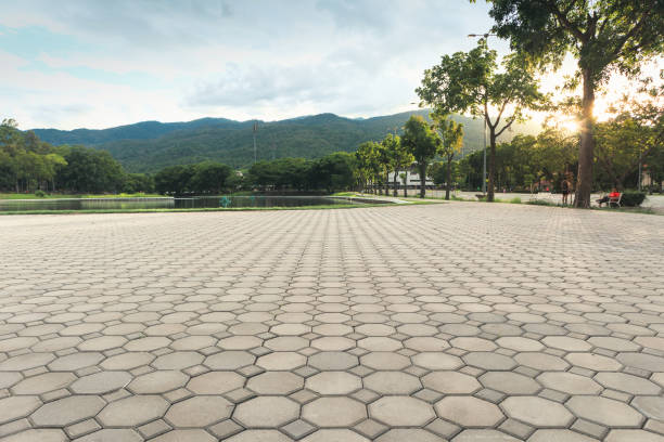Best Best Driveway Pavers  in Yorkvle, IL